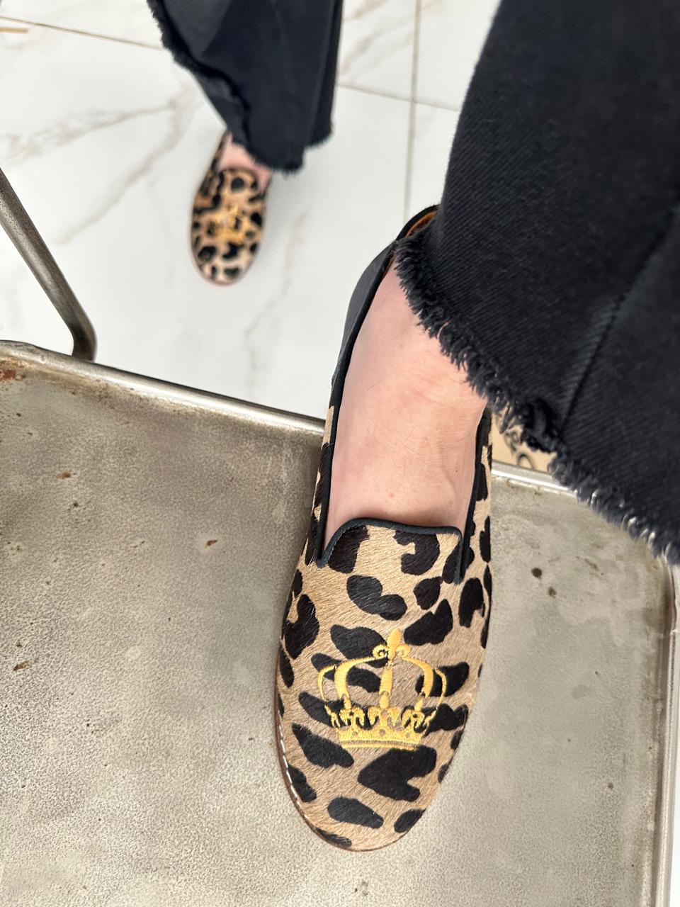 WhatsApp Image 2026-04-03 at 12.02.04