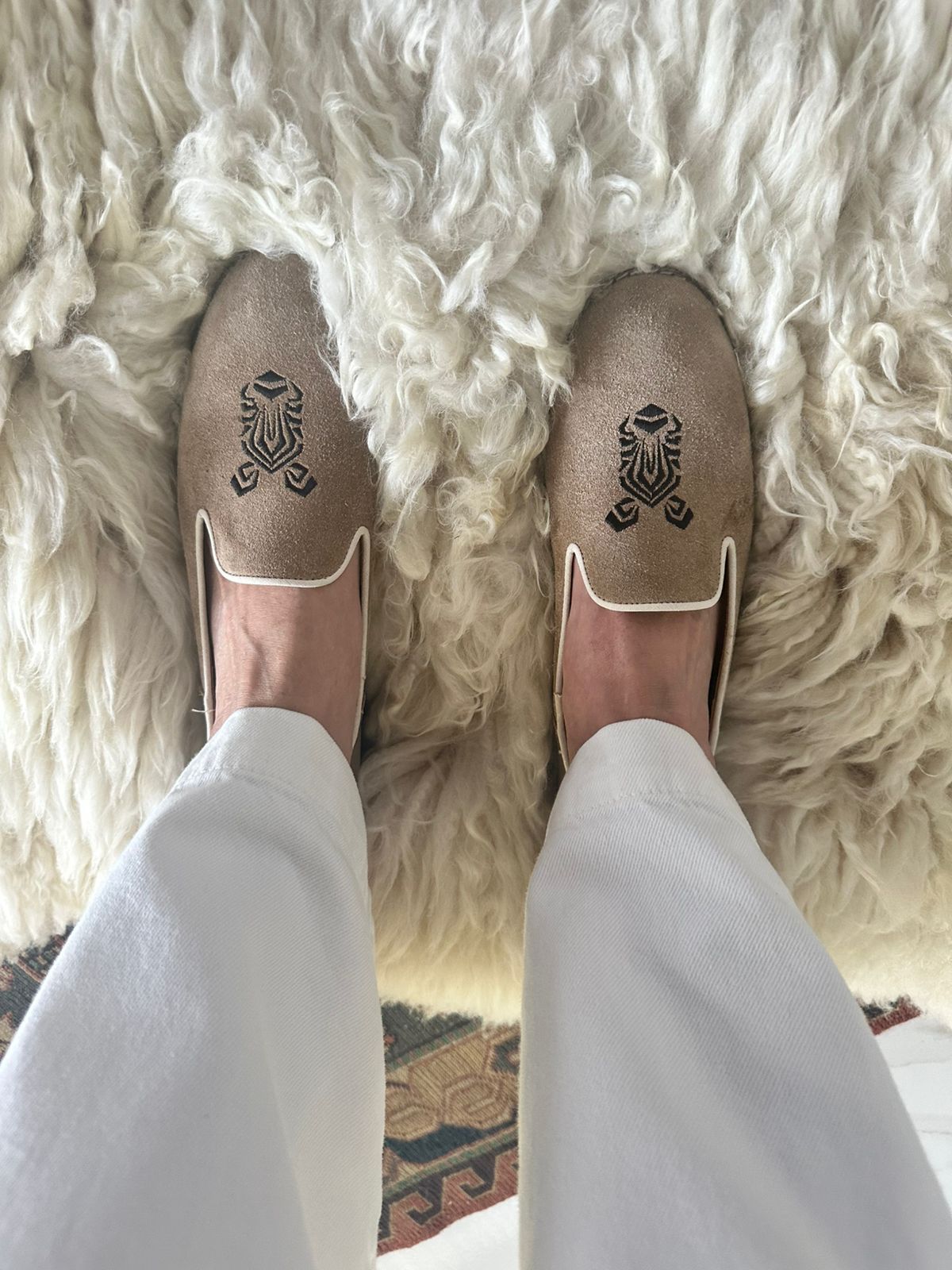 WhatsApp Image 2026-04-12 at 09.57.45